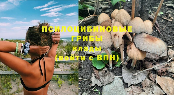 хмурый Абинск